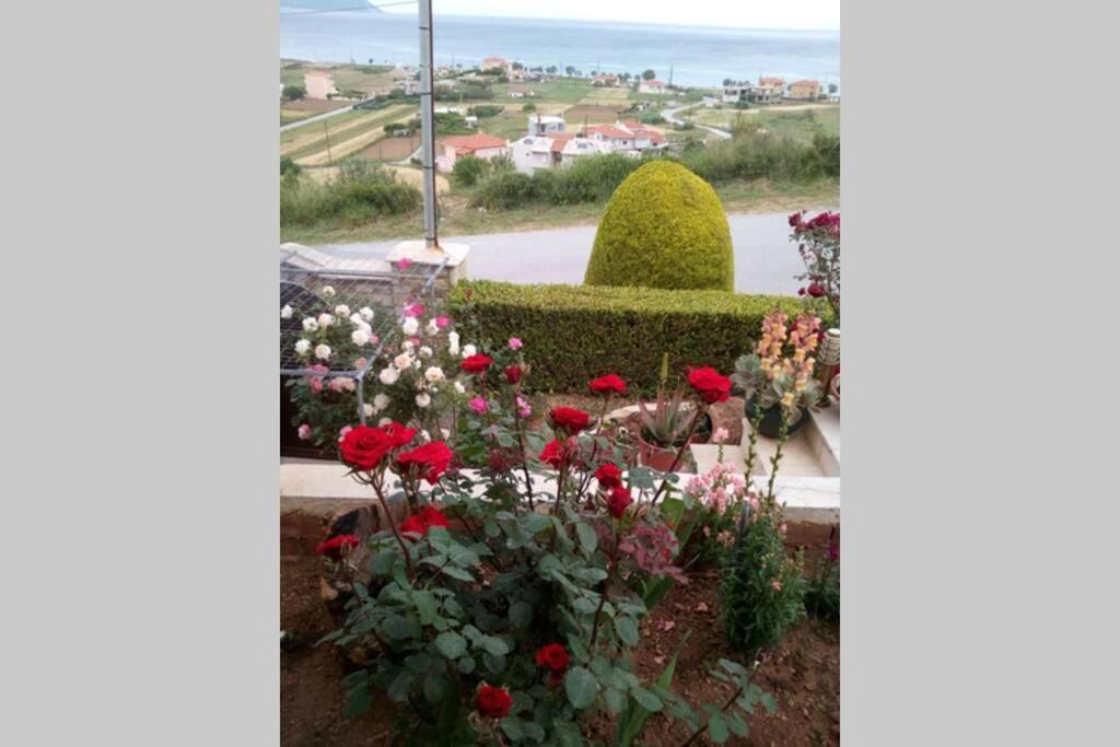 Villa Roses-Муртери Экстерьер фото